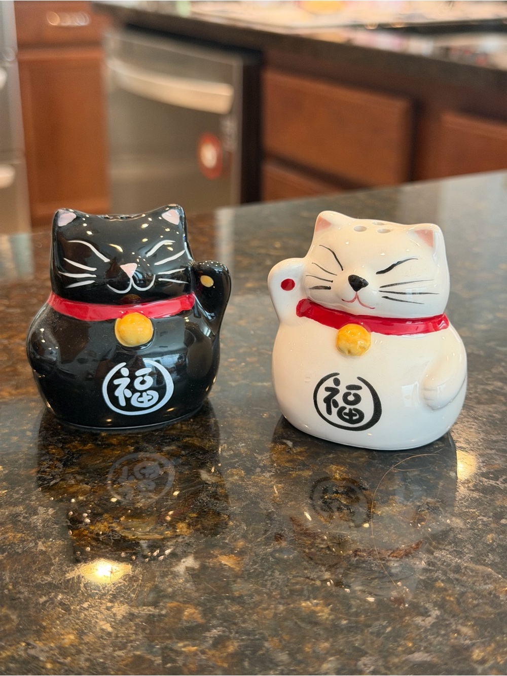 Ceramic Lucky Cat Salt and Pepper Shaker Set - World Market